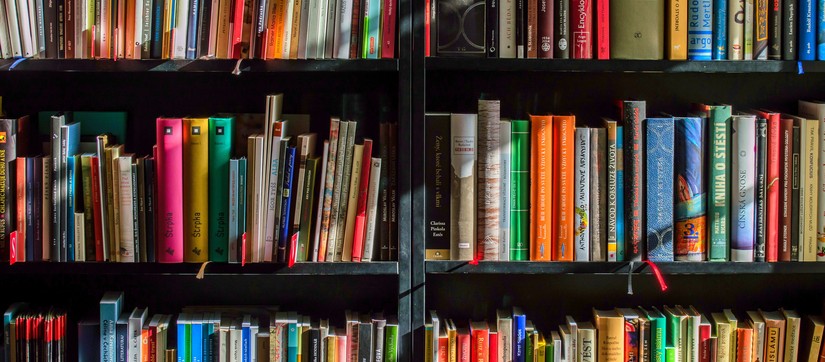 Bücherregal