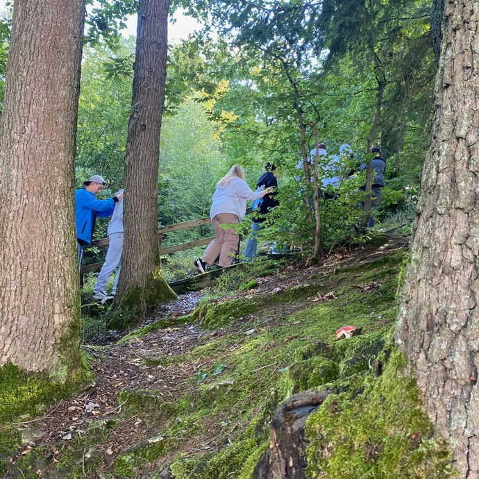 Teamspiel 3 (vergrößerte Bildansicht wird geöffnet)