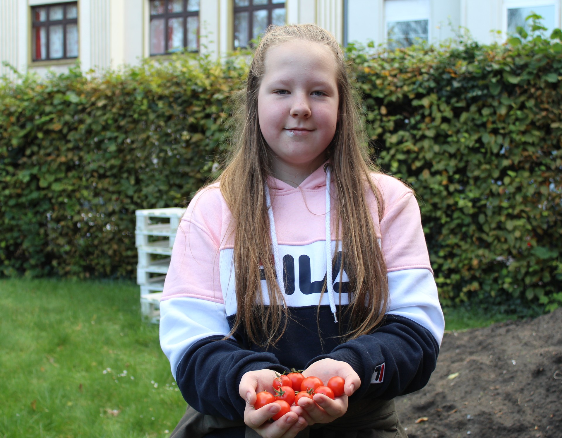 Eine Schülerin hält selbst geerntete Tomaten aus dem Schulgarten in der Hand.