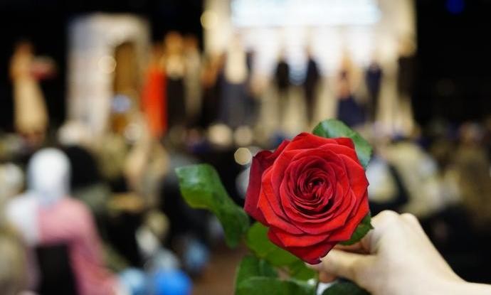 Rote Rose