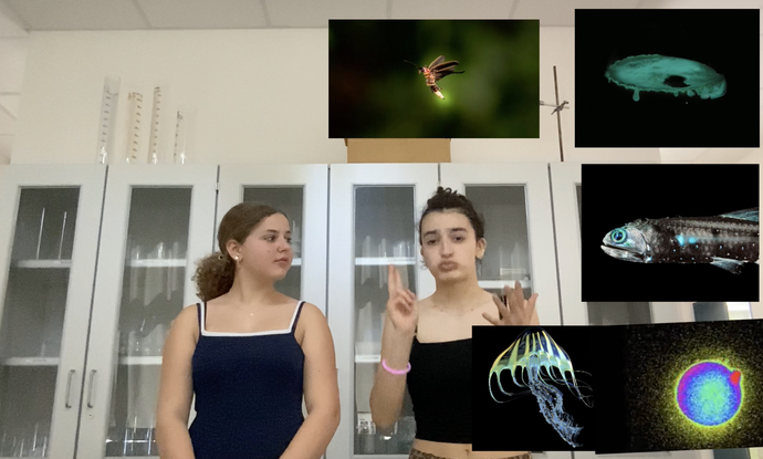 Lernvideos aus dem Chemieunterricht